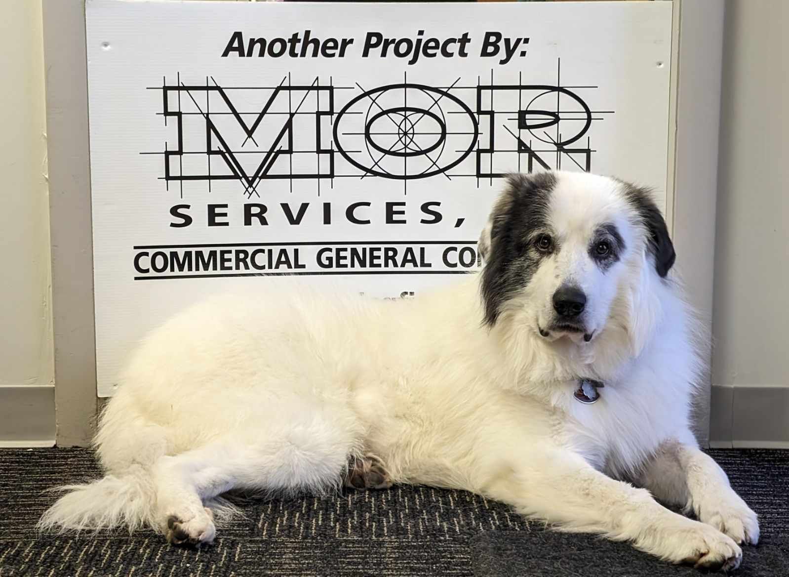 MOR Services Inc.